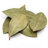 Bay Leaves, Turkish